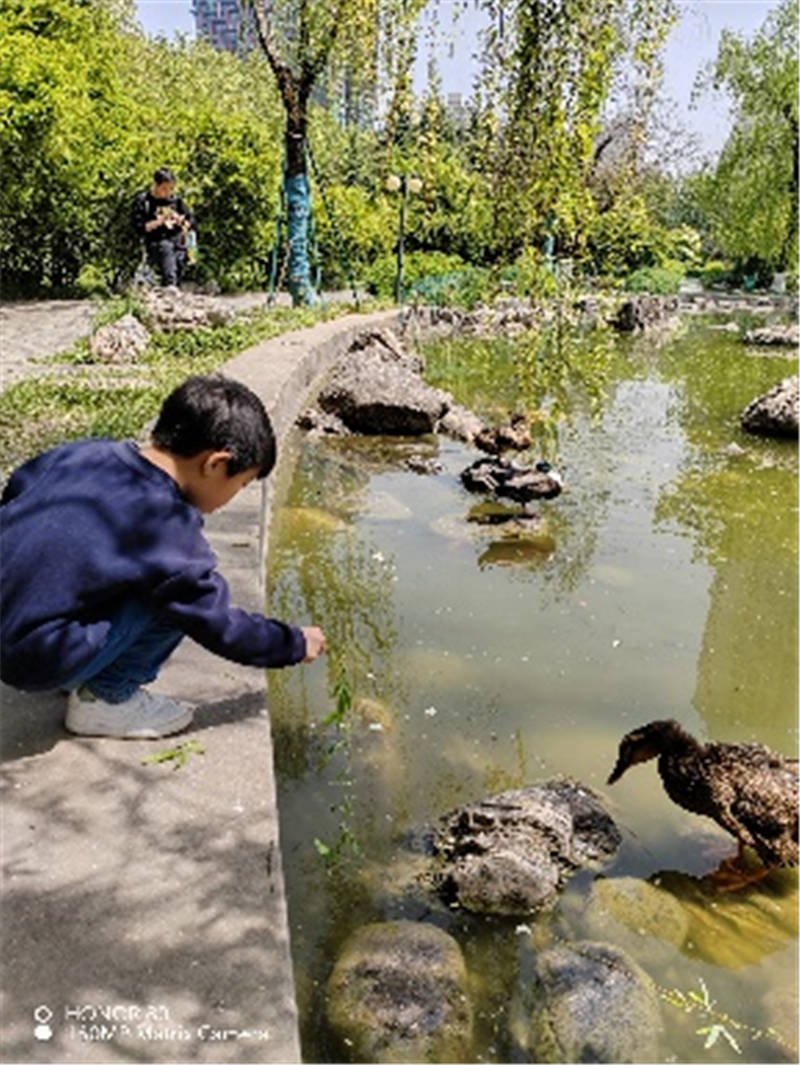 1.蝌蚪窝久久探索自然奥秘的乐园