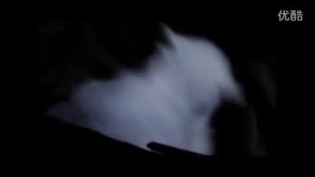 51成人做爱www免费看网浜最新资源，高清无码在线观看，热门影片每日更新