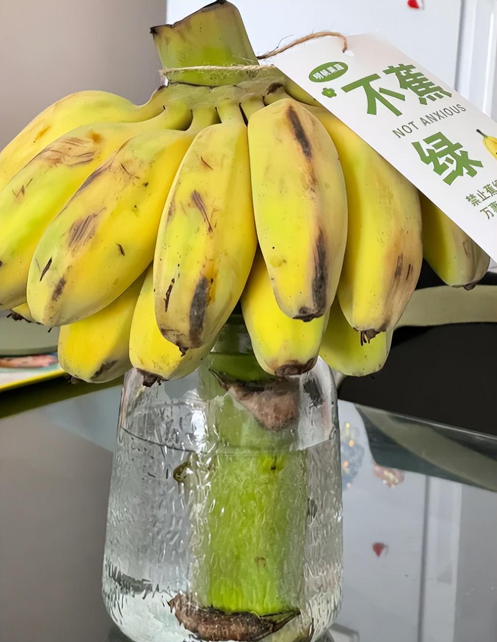 香蕉久久夜色精品升级完成，全新版本带来更多惊喜，体验更流畅更稳定