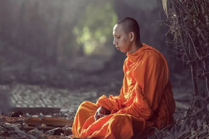 女僧尼佛的A级毛片揭秘，修行与欲望交织，探寻禁忌背后的心灵真相