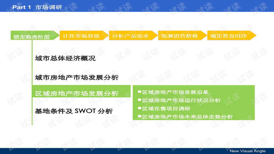 aV日日操实战技巧分享，提升效率的秘诀，轻松掌握每日操作精髓