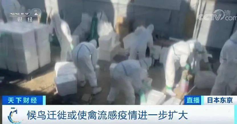 1.人与禽性猛交乱配视频浜引发争议