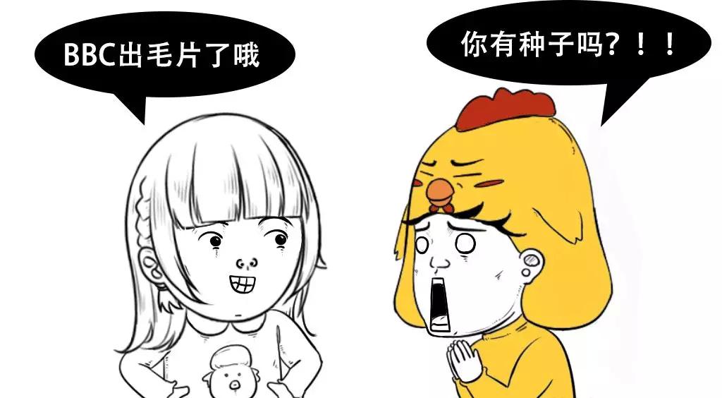1.全黄做爰毛片免费看精彩推荐