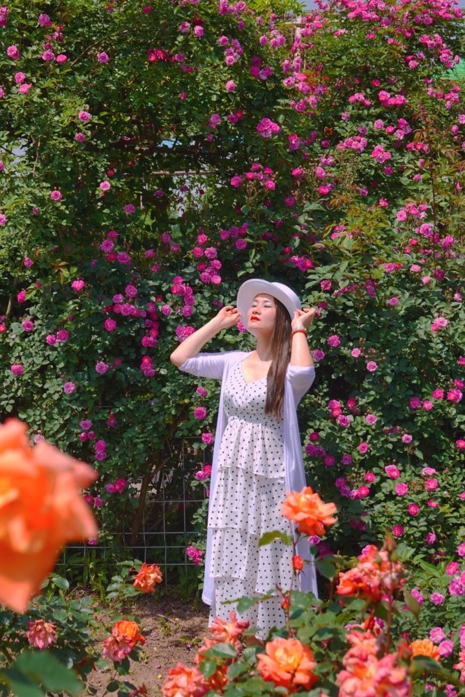 婷婷五月天丁香绽放芬芳，初夏浪漫邂逅，谱写青春动人诗篇