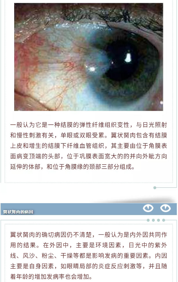 意大利电影胬肉治疗免费观看浜，高清完整版在线播放，精彩剧情不容错过