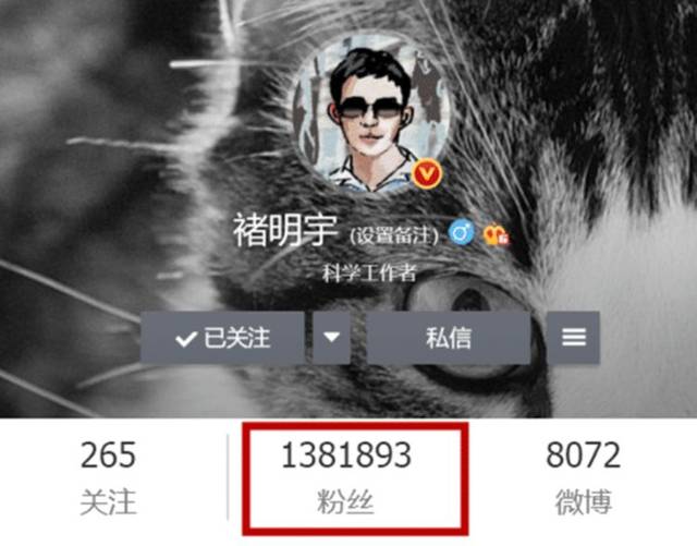 无码播放震撼上线畅享高清无删减体验，流畅观看无延迟，极致画质无码播放