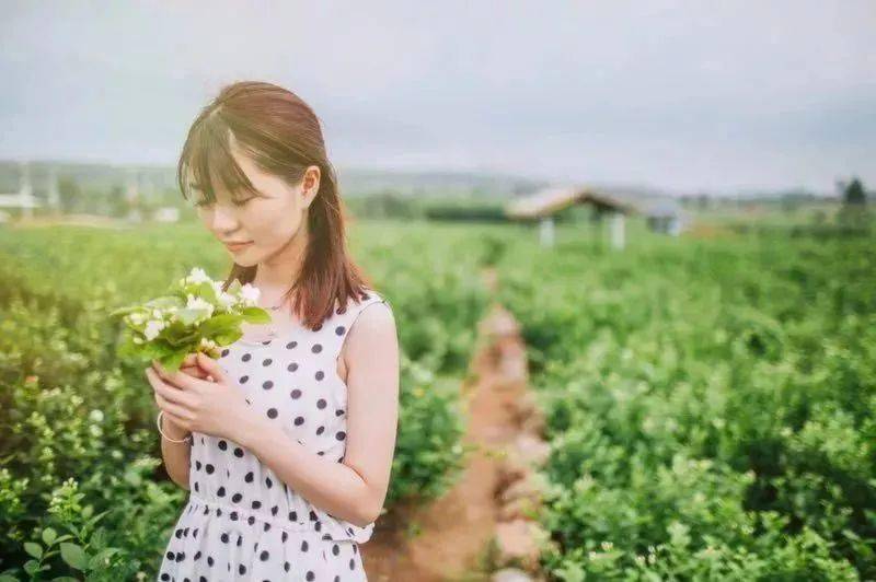 青青草a在春天绽放，微风轻抚，绿意盎然，带来无限生机