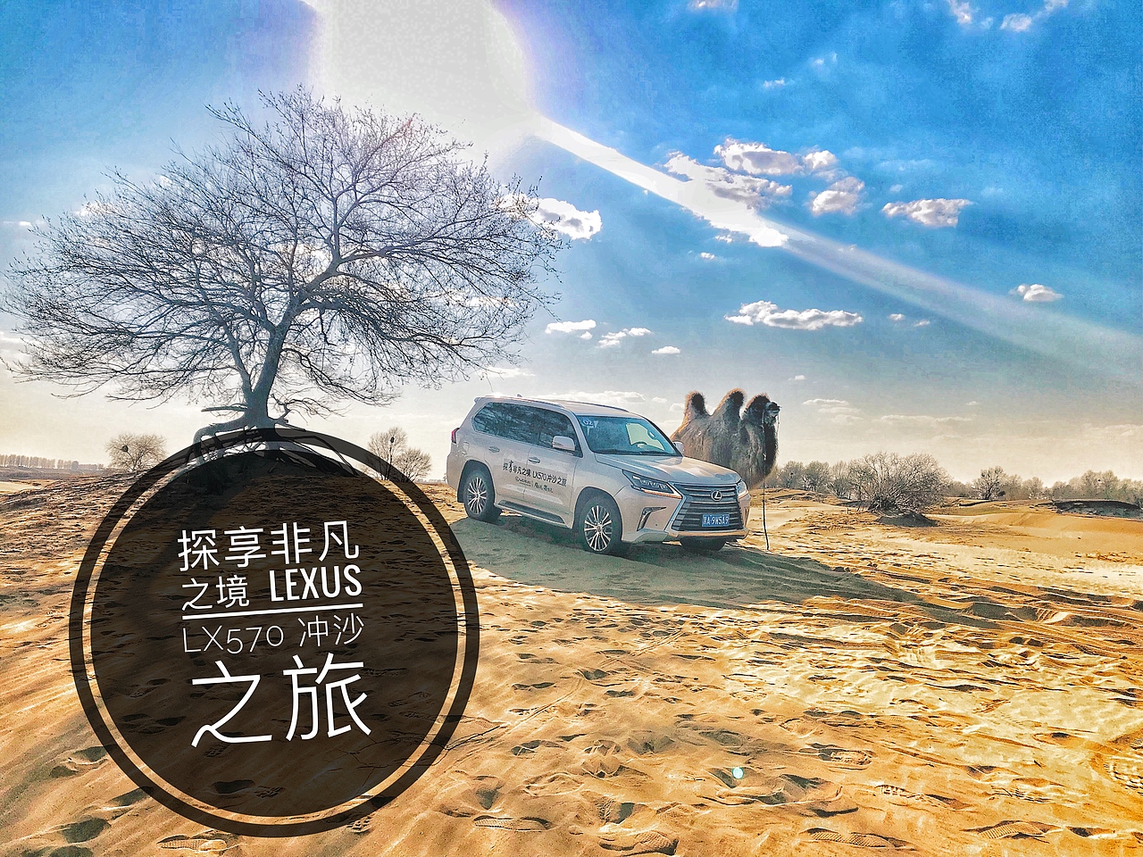 探索jizzzzxxxx浜的独特魅力，发现隐藏美景，体验非凡之旅，感受自然与文化的完美融合