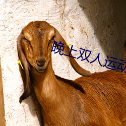 2.夜色AV网站最新地址，深夜福利，无码视频，免费下载，精彩内容等你发现