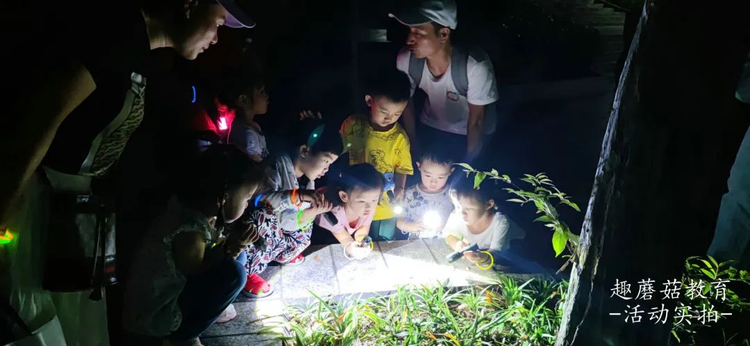 人成夜夜21的奇幻之旅，探索深夜奥秘，解锁未知世界的神秘面纱