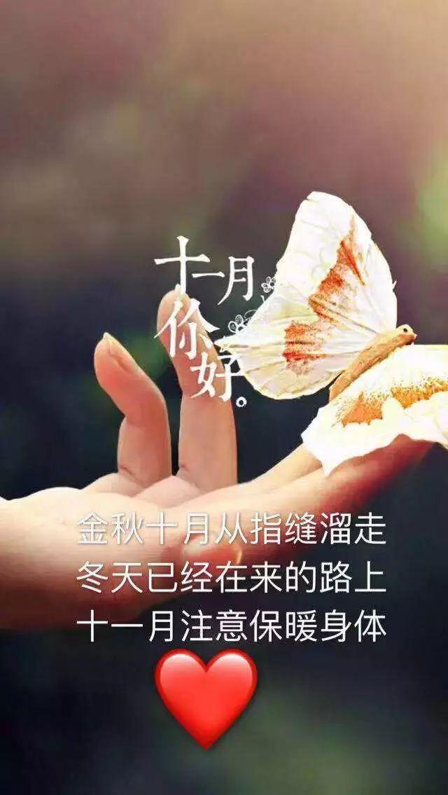护士一级特黄浜守护健康天使传递温暖与希望，专业护理，用心服务，关爱生命每一天