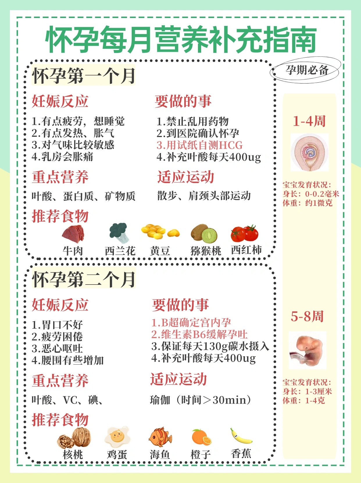 日本孕妇交孕期营养指南，健康饮食建议，胎儿发育关键期注意事项