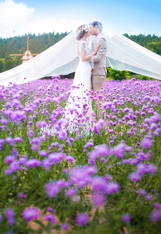 五月天丁香婷婷激情绽放青春旋律，梦想飞扬，浪漫永恒