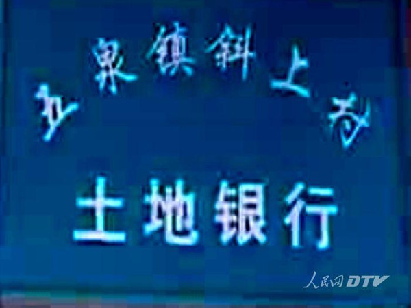 青女在线绽放青春魅力，谱写梦想篇章，闪耀未来舞台