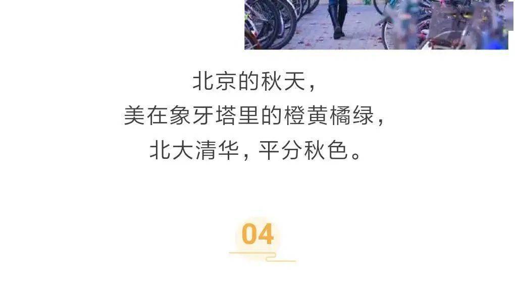 四川少妇分享生活点滴，探索168种美丽秘诀，展现独特魅力