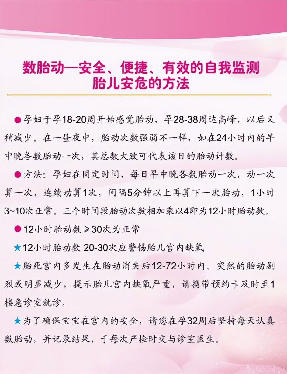 日孕妇孕期营养指南，健康饮食建议，胎儿发育关键期注意事项