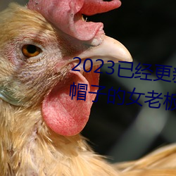 少妇特黄婬片一区二区三区浜，最新资源免费看，高清无码在线观看