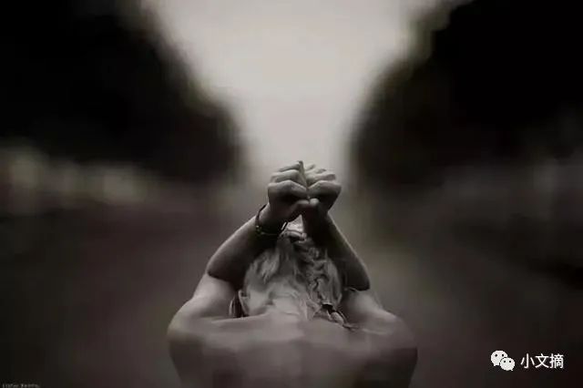 色欲Va的致命诱惑，探索人性欲望深渊，揭秘原始本能与道德枷锁