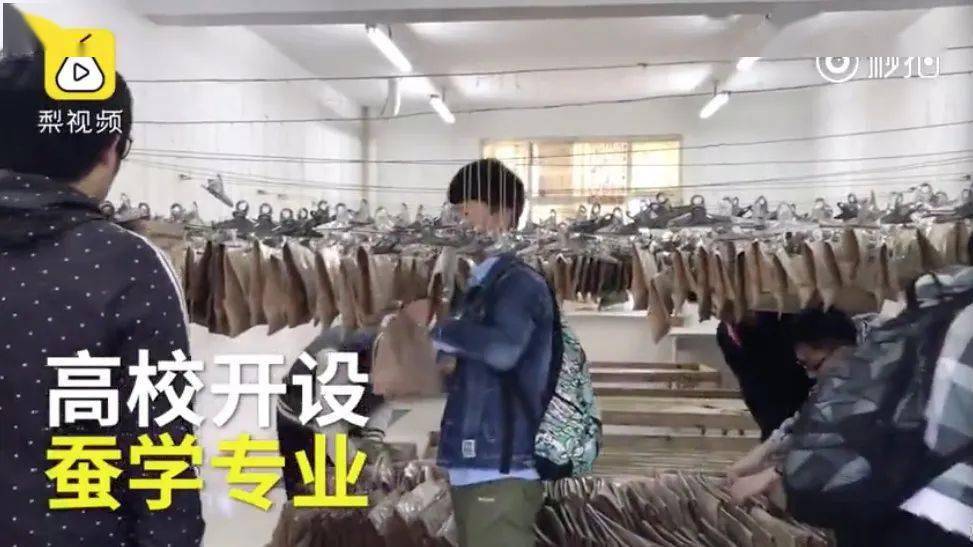 AVChinesefuck揭秘中国成人内容市场的隐秘角落，探索行业现状，未来趋势与挑战