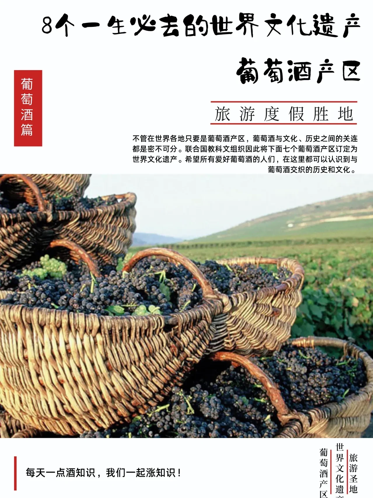 香蕉热线精品视频带你探索香蕉的美味与营养，了解产地故事，享受健康生活