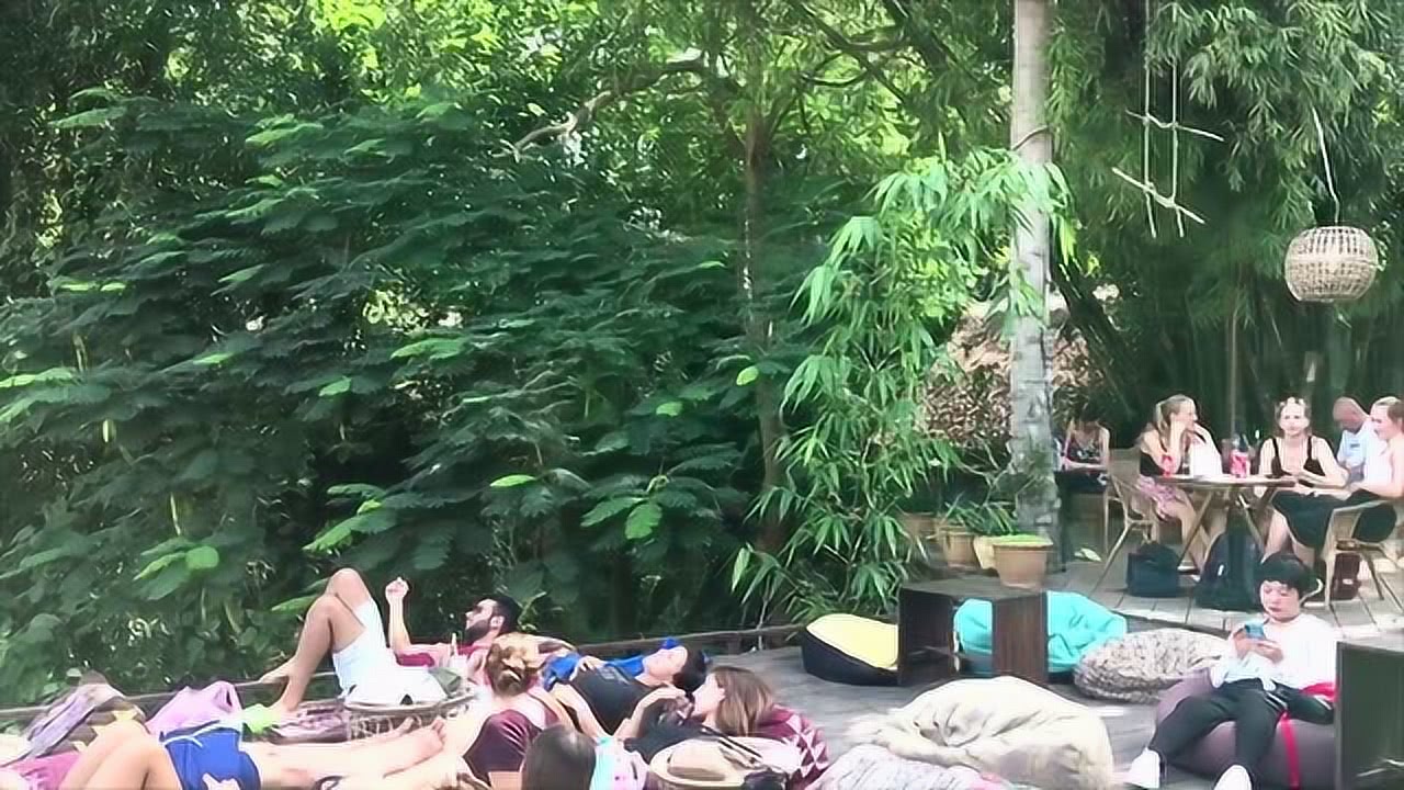 青青草久久91的美丽传说，探寻自然奥秘，感受清新气息，体验悠闲时光