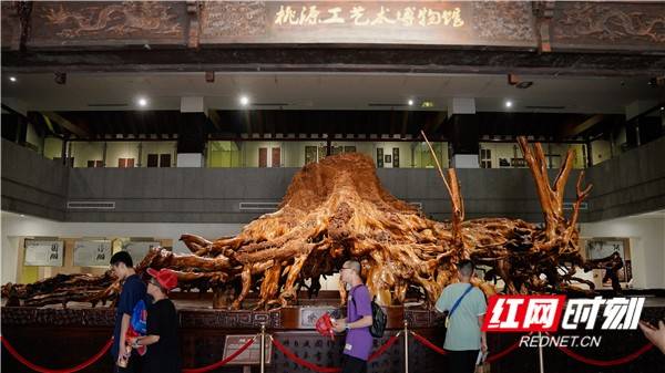 日本人眼中的中国文化魅力，探寻两国历史渊源，体验独特传统与现代交融