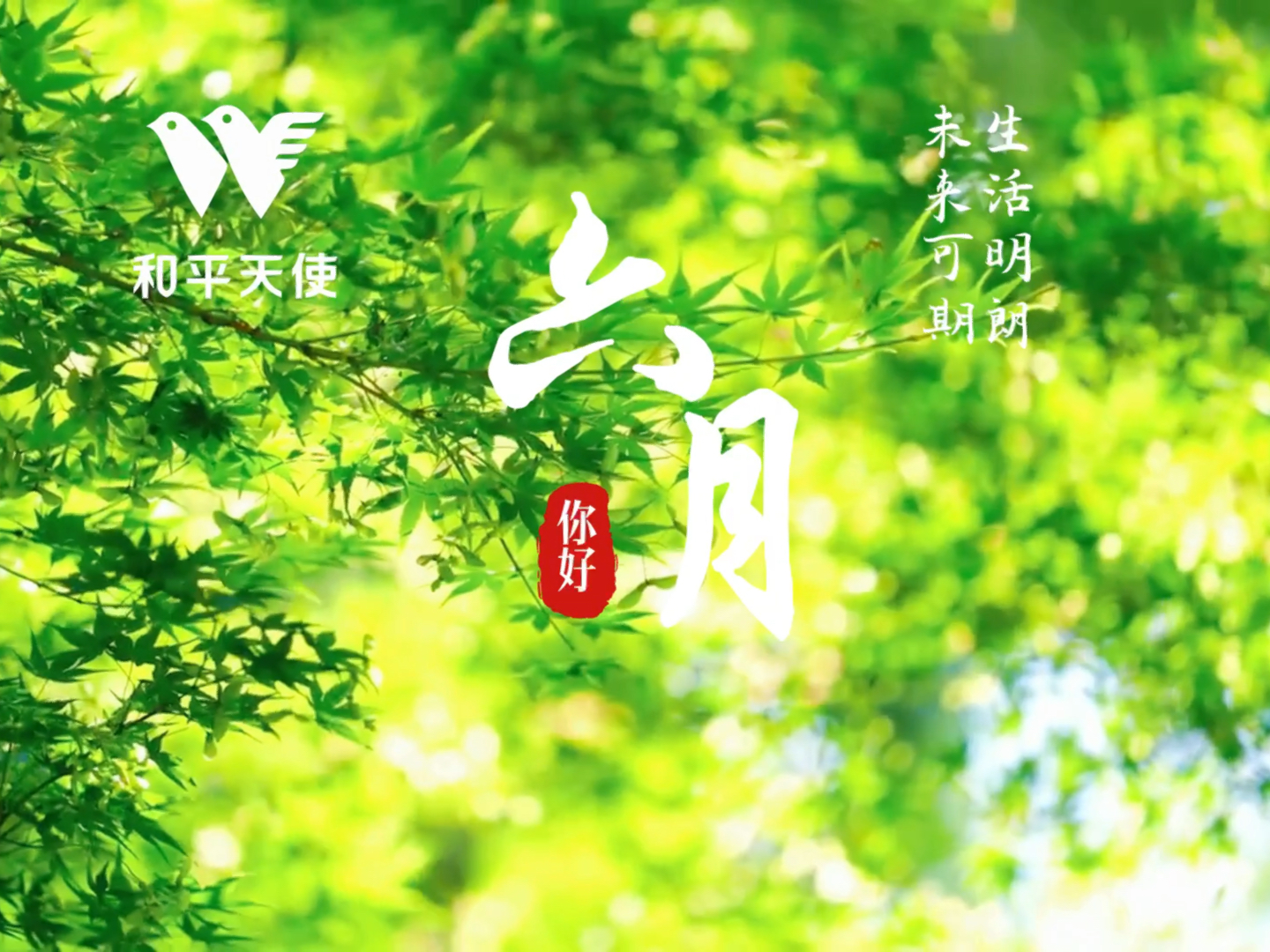 五月六月婷婷字幕绽放夏日精彩，清新风格，动人故事
