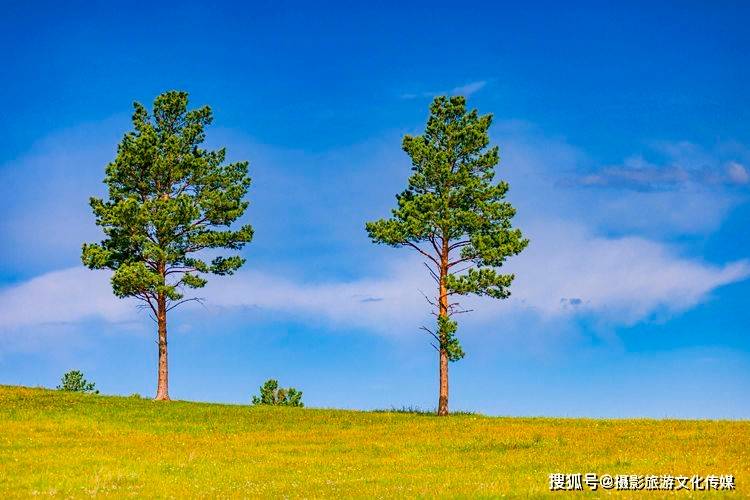青青草天堂的美丽画卷，探索自然与宁静，感受诗意田园生活