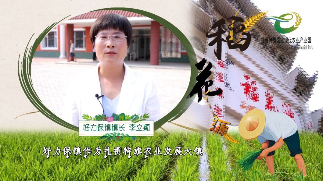 中国好太太9999，幸福婚姻的秘密，打造完美家庭生活，爱与智慧并存