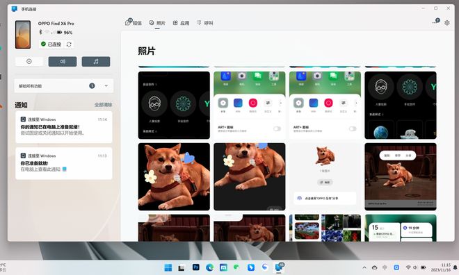 大精鱼网页版2浜全新升级，畅享海量资源，体验流畅操作