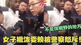 2.公媳夫妇交换情感纠葛，家庭矛盾升级，伦理边界模糊