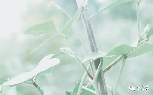 热久久思思热温暖回忆勾起心底无限遐想，岁月如歌情感绵长，重温旧梦时光