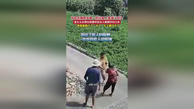 老头老太太砖树林奇遇记,神秘砖墙藏古树,白发夫妻寻宝来 老头老太太砖树林奇遇记,神秘砖墙藏古树,白发夫妻寻宝来