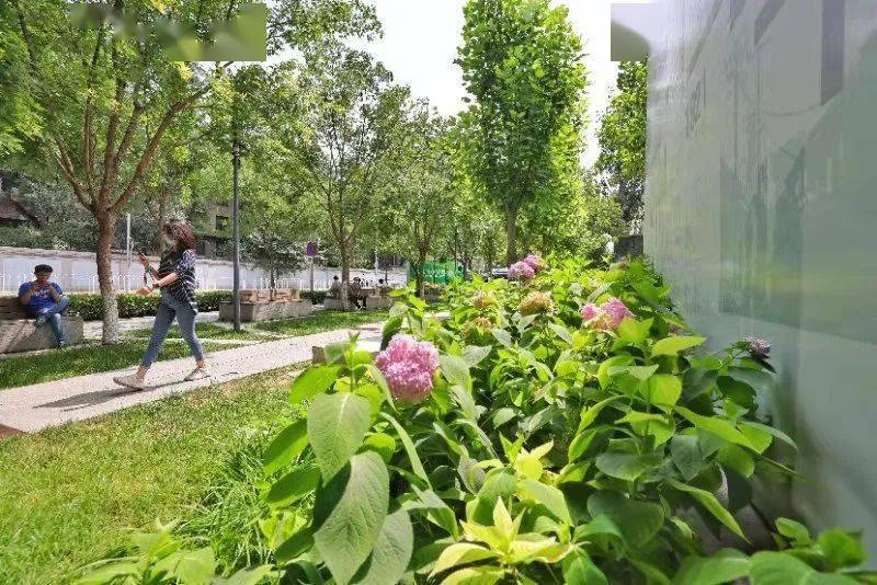人人草人人摸打造绿色空间，探索自然乐趣，共享健康生活