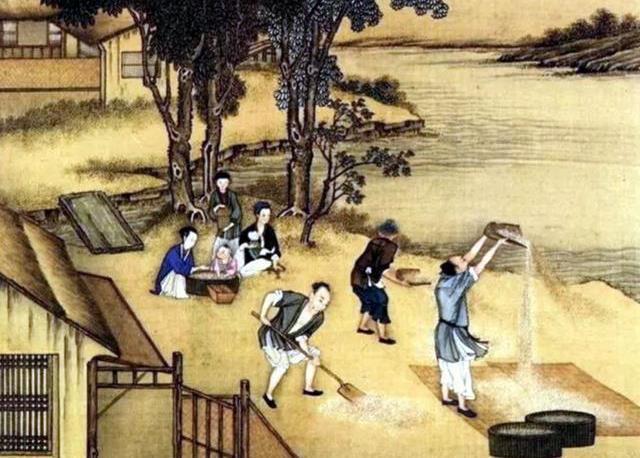 黑人疯狂做引发热议，探索背后原因，社会影响深远