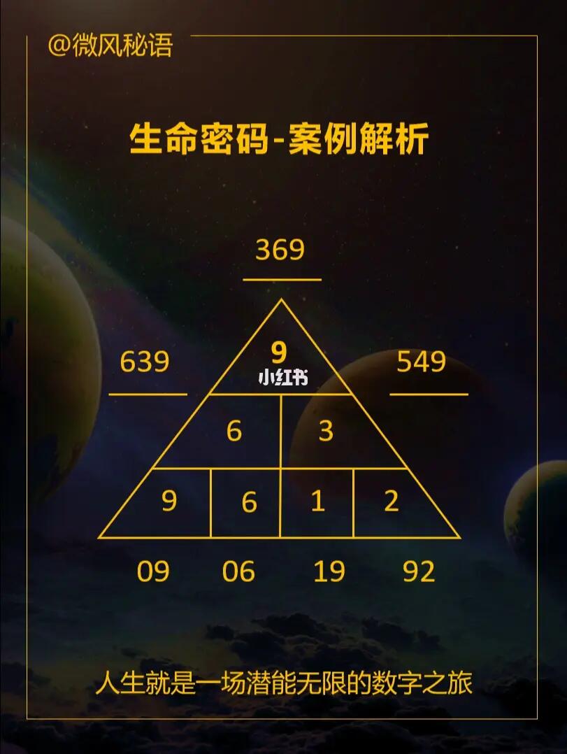 动物交配动物繁衍行为与生存策略的奥秘，探索自然法则，揭示生命密码