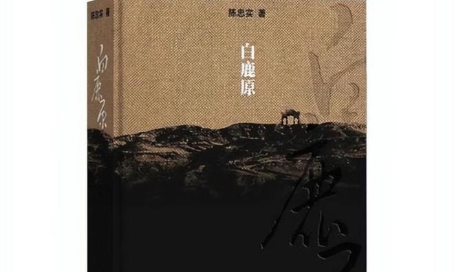 意大利电影胬肉治疗浜剧情解析，深刻人性探讨，艺术与现实的交织