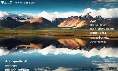 一区二区青青风光如画，春意盎然，快来探索这片醉人美景