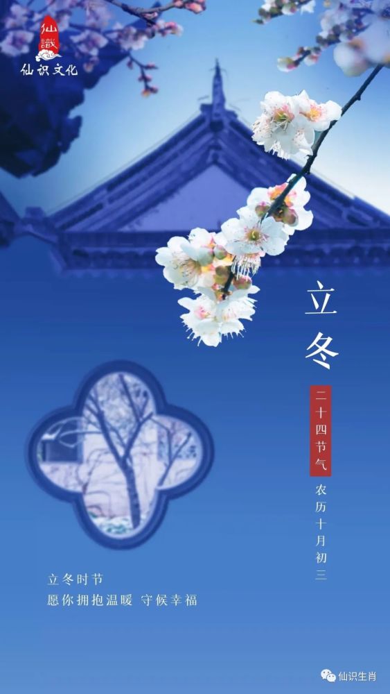深爱五月最新绽放浪漫时光，温暖初夏记忆，拥抱幸福季节
