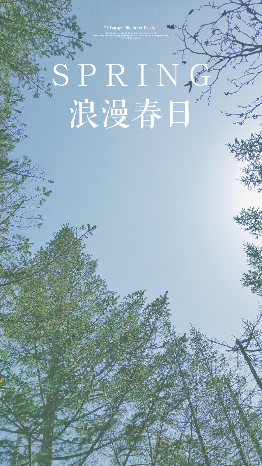 2.伊人久久久久樱花纷飞,春日浪漫,邂逅最美时光