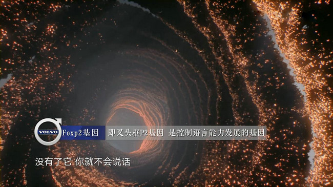 公牛AV震撼发布全新系列，探索极致体验，引领行业潮流