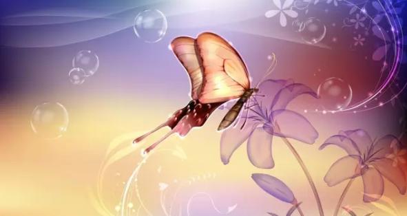 1.处女座破茧成蝶花开视频