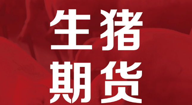 中国70老太性hd大全引发热议，探讨老年群体需求，关注社会包容性话题