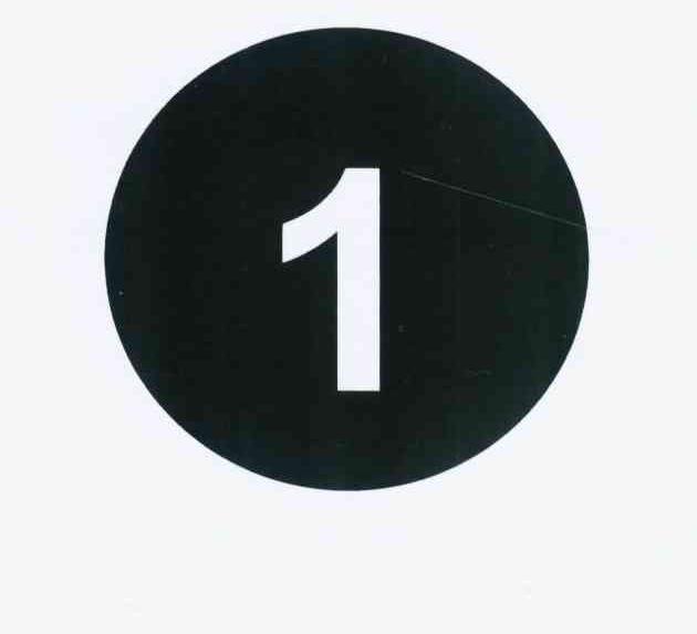 1.婷婷五月天大色堂绽放青春魅力 1.婷婷五月天大色堂绽放青春魅力