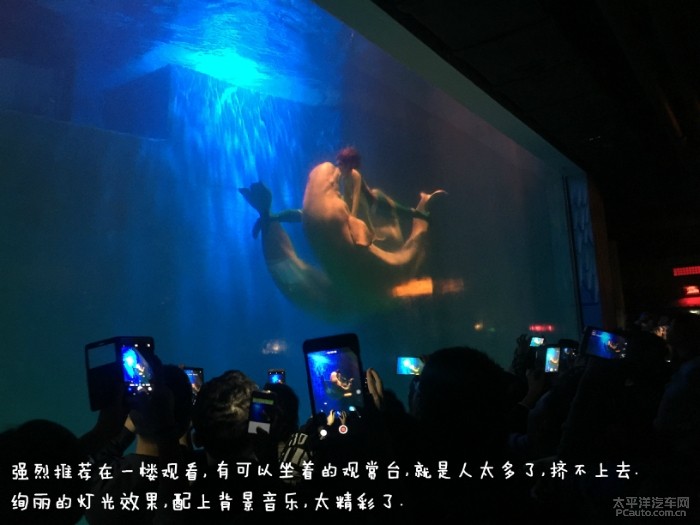 真人毛片震撼上线，高清无码精彩呈现，独家资源尽在这里