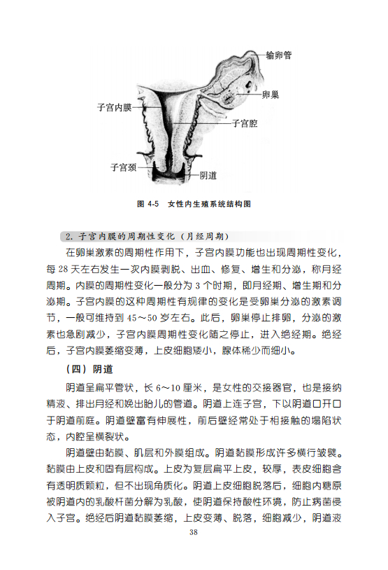 3.久久αV老年人性交最新免费视频浜，免费在线观看，高清无码资源下载，老年人性健康指南