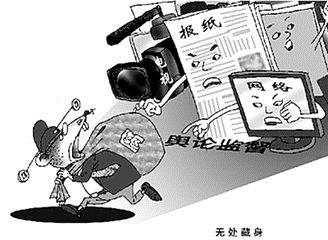 美国少妇与动物交配引发争议，伦理边界模糊，社会舆论哗然