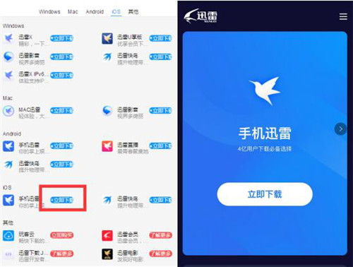 美女坦克阿姨福利在线浜引爆全网，揭秘独特魅力，轻松获取高清资源