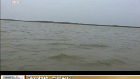 Cekc4浜全新上线，探索神秘水域，解锁独特玩法，畅享刺激冒险之旅