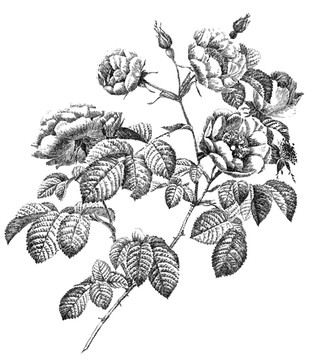 法国《绣感》艺术展惊艳巴黎，探索刺绣与情感的深度对话，感受法式浪漫
